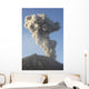 Ash Cloud following Explosive Wall Decal Design 7