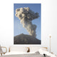Ash Cloud following Explosive Wall Decal Design 7