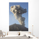 Ash Cloud following Explosive Wall Decal Design 7