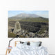 Sabo Channel Haramatsu River Wall Decal