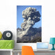 Ash Cloud following Explosive Wall Decal Design 3