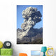 Ash Cloud following Explosive Wall Decal Design 3