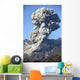 Ash Cloud following Explosive Wall Decal Design 3