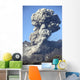 Ash Cloud following Explosive Wall Decal Design 3