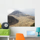 Mount Unzen Volcano with Wall Decal