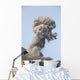 Ash Cloud from Eruption Wall Decal