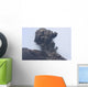 Ash Cloud from Vulcanian Wall Decal Design 5