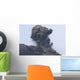 Ash Cloud from Vulcanian Wall Decal Design 5
