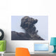 Ash Cloud from Vulcanian Wall Decal Design 5
