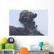 Ash Cloud from Vulcanian Wall Decal Design 5