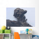 Ash Cloud from Vulcanian Wall Decal Design 5