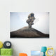 Ash Cloud from Vulcanian Wall Decal Design 4