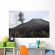 Ash Cloud from Vulcanian Wall Decal Design 3