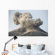 Ash Cloud from Vulcanian Wall Decal Design 1
