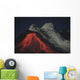 Eruption Natrocarbonatite Lava Flows Wall Decal Design 1