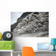 Pyroclastic Flow Descending Flank Wall Decal Design 2