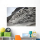 Pyroclastic Flow Descending Flank Wall Decal Design 2