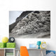 Pyroclastic Flow Descending Flank Wall Decal Design 2