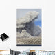 Pyroclastic Flow Abandoned City Wall Decal Design 3