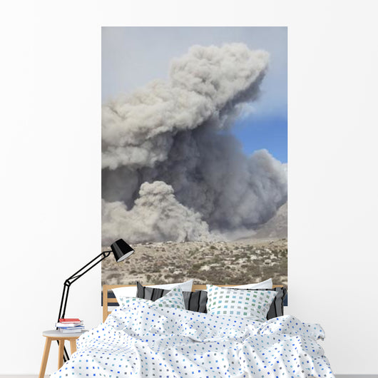 Pyroclastic Flow Abandoned City Wall Decal Design 3