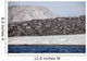 Ash-covered Houses Abandoned City Wall Decal