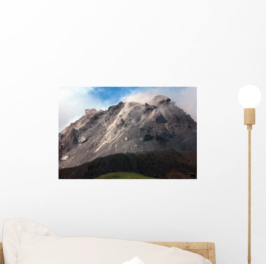 Extrusion Lobes Lava Dome Wall Decal