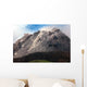 Extrusion Lobes Lava Dome Wall Decal