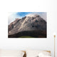 Extrusion Lobes Lava Dome Wall Decal