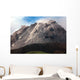 Extrusion Lobes Lava Dome Wall Decal