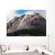 Extrusion Lobes Lava Dome Wall Decal