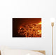 Lava Lake Summit Caldera Wall Decal