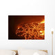 Lava Lake Summit Caldera Wall Decal
