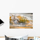 Hot Spring Warbrick Terrace Wall Decal