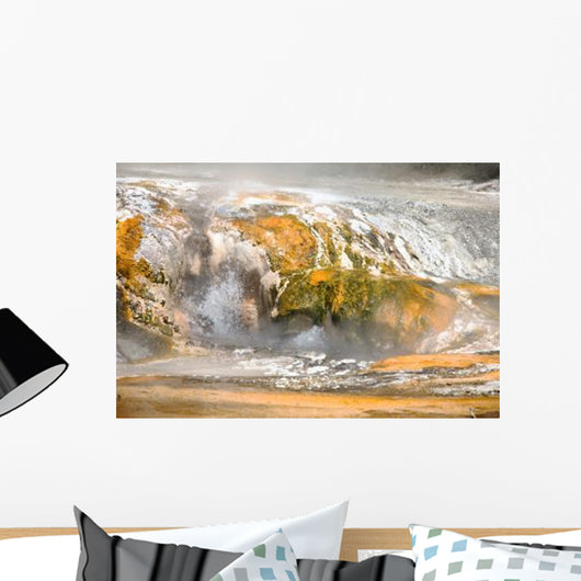 Hot Spring Warbrick Terrace Wall Decal