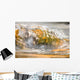 Hot Spring Warbrick Terrace Wall Decal