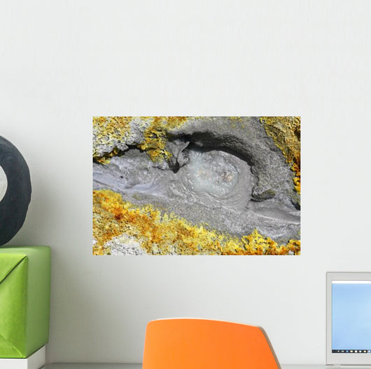 Hot Spring Surrounded Sulphurous Wall Decal