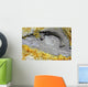 Hot Spring Surrounded Sulphurous Wall Decal