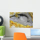 Hot Spring Surrounded Sulphurous Wall Decal