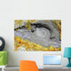 Hot Spring Surrounded Sulphurous Wall Decal