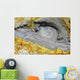 Hot Spring Surrounded Sulphurous Wall Decal