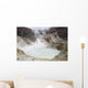 Acidic Crater Lake White Wall Decal Design 2
