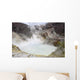 Acidic Crater Lake White Wall Decal Design 2