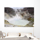 Acidic Crater Lake White Wall Decal Design 2