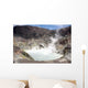 Acidic Crater Lake White Wall Decal Design 1