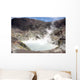 Acidic Crater Lake White Wall Decal Design 1