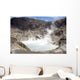 Acidic Crater Lake White Wall Decal Design 1