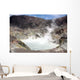 Acidic Crater Lake White Wall Decal Design 1