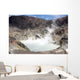 Acidic Crater Lake White Wall Decal Design 1