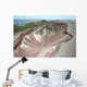 Aerial Rhyolite Dome Complex Wall Decal Design 2