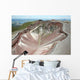 Aerial Rhyolite Dome Complex Wall Decal Design 2